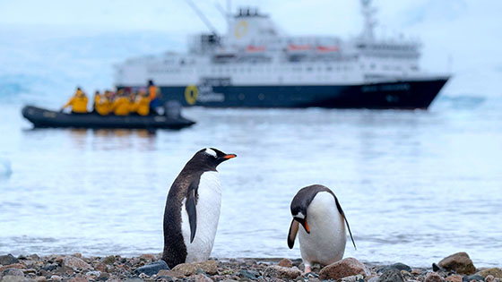 two pinguins at the beach. Boats in the background 