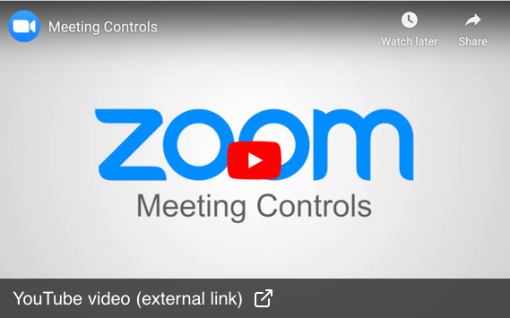 YouTube video: Zoom Meeting Controls