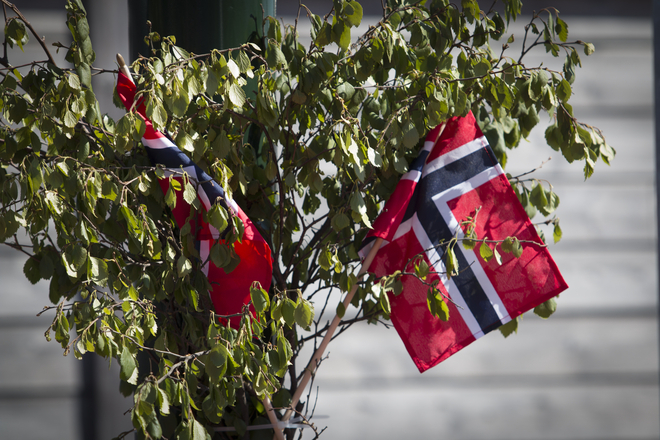 To Norwegian flags are bunched together with twigs from a birch tree, on a sunny spring day 