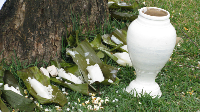 White clay jar and white hominy placed on green leaves at the foot of a tree
