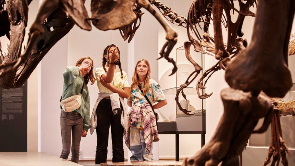 Tre unge jenter ser p? et dinosaurskjelett 