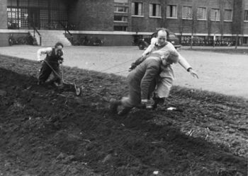 1940-43. Fysikere pl?yer opp potet?ker utenfor Fysikkbygningen. Professor Hylleraas f?rer plogen, studentene Romberg og Skavlem fungerer som hester.