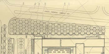Utsnitt&amp;#160;av&amp;#160;hagearkitekt&amp;#160;Sverre K. Steines planteplan for&amp;#160;den tette asalbeplantningen langs Niels Henrik Abelsvei, 1962.