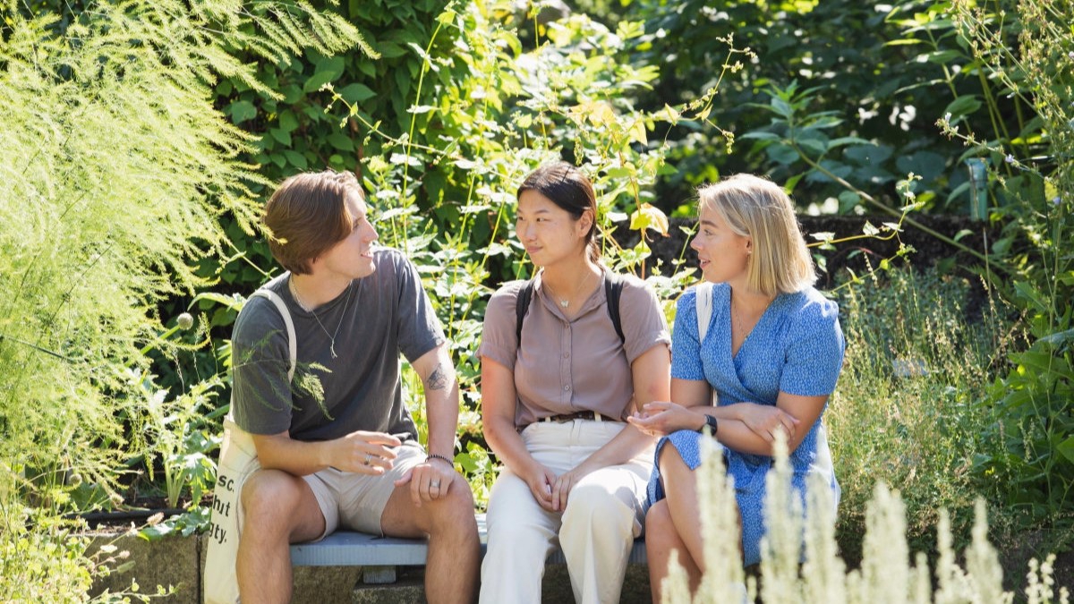Three students are sitting on a bench surrounded by green plants
