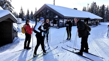 Associate Professor Jonna Vuoskoski led a cross-country team during RITMO&#39;s Winter Activity Day. Others enjoyed snowboarding, slalom skiing, snowshoeing, and coffee drinking.