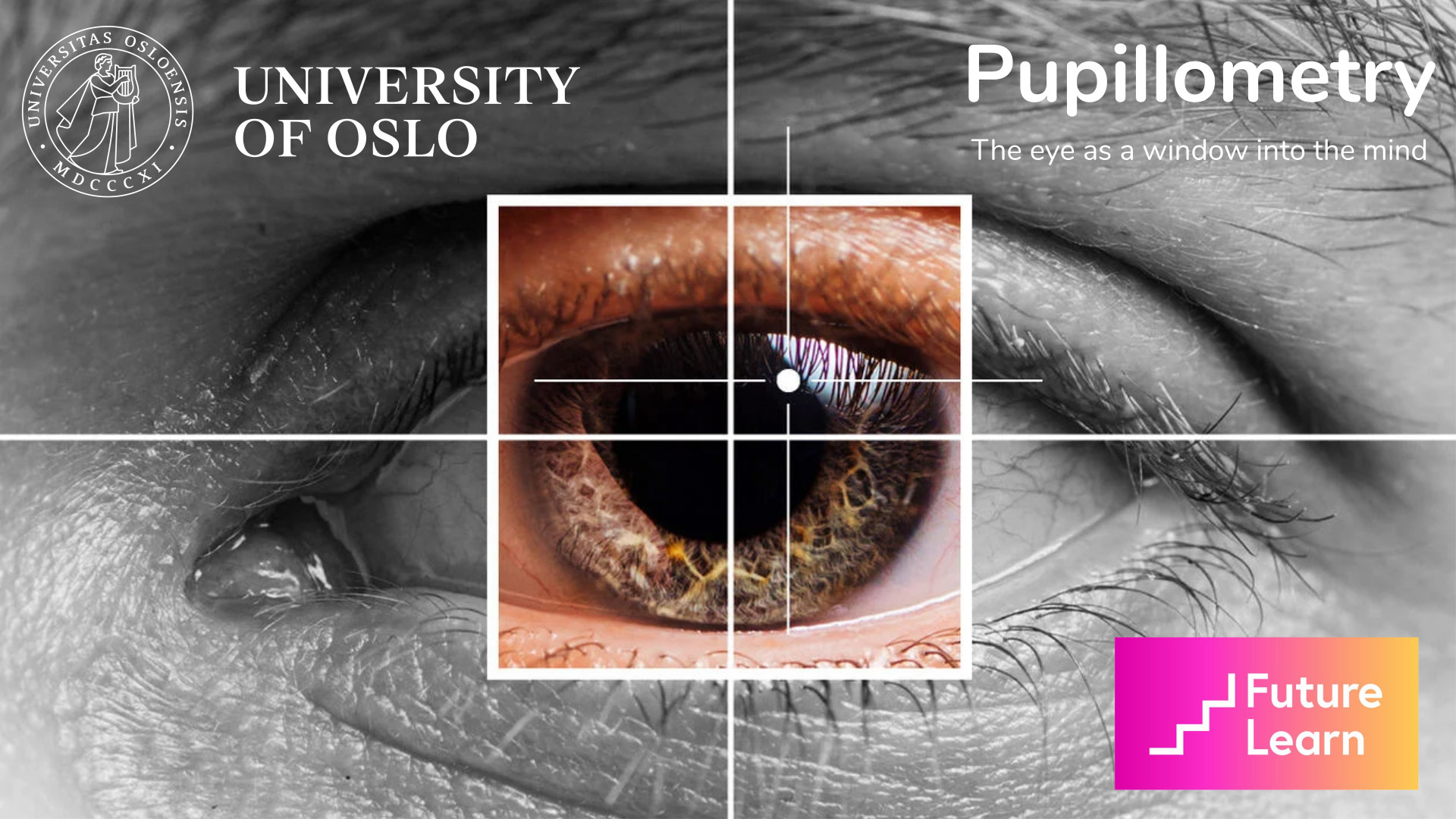 The course Pupillometry: The Eye as a Window Into the Mind was launched on the FutureLearn platform in December 2022 and will run with a continuous intake in the years to come.