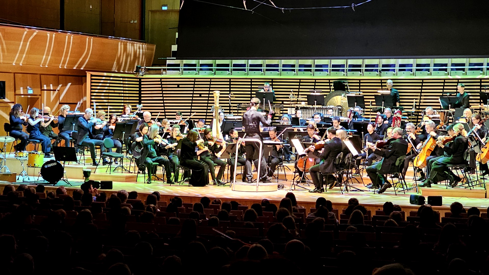 In February each year, the Stavanger Symphony Orchestra organises Lydo, a concert series targeting children and young people. RITMO was able to join the project and collect data while also doing research dissemination during concerts.